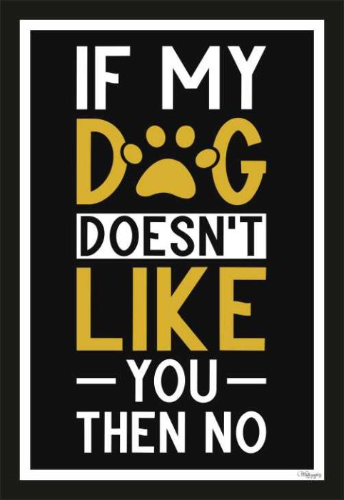 If my dog doesn't like you, then no