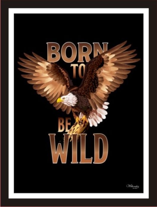Born To Be Wild (1)