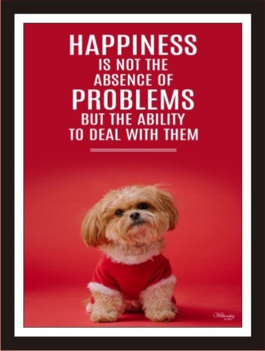 Happiness Is Not The Absence Of Problems But The Ability...