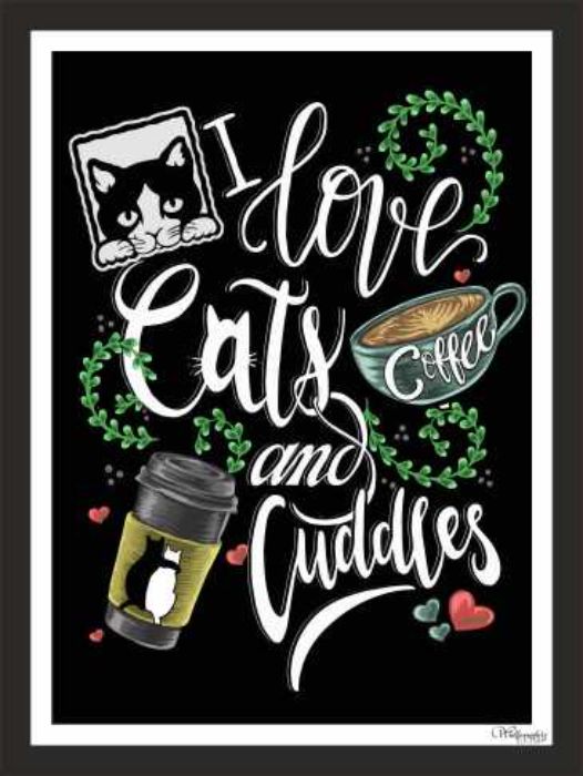 I love cats and cuddles